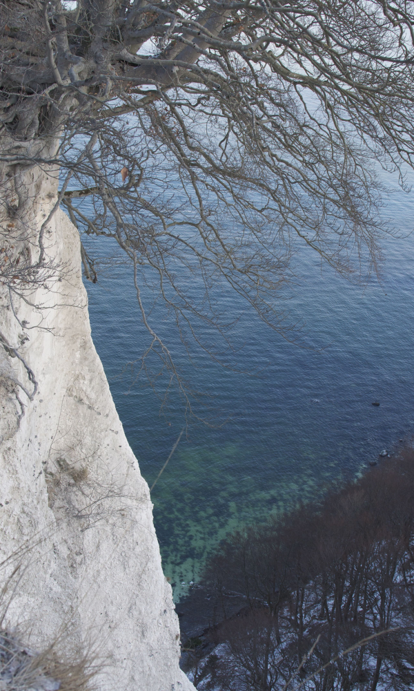 Rügen